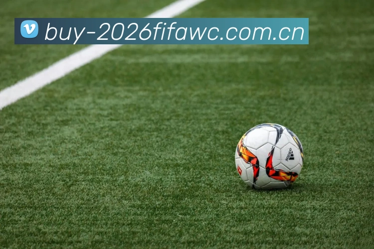 FIFA 官方数据授权认证